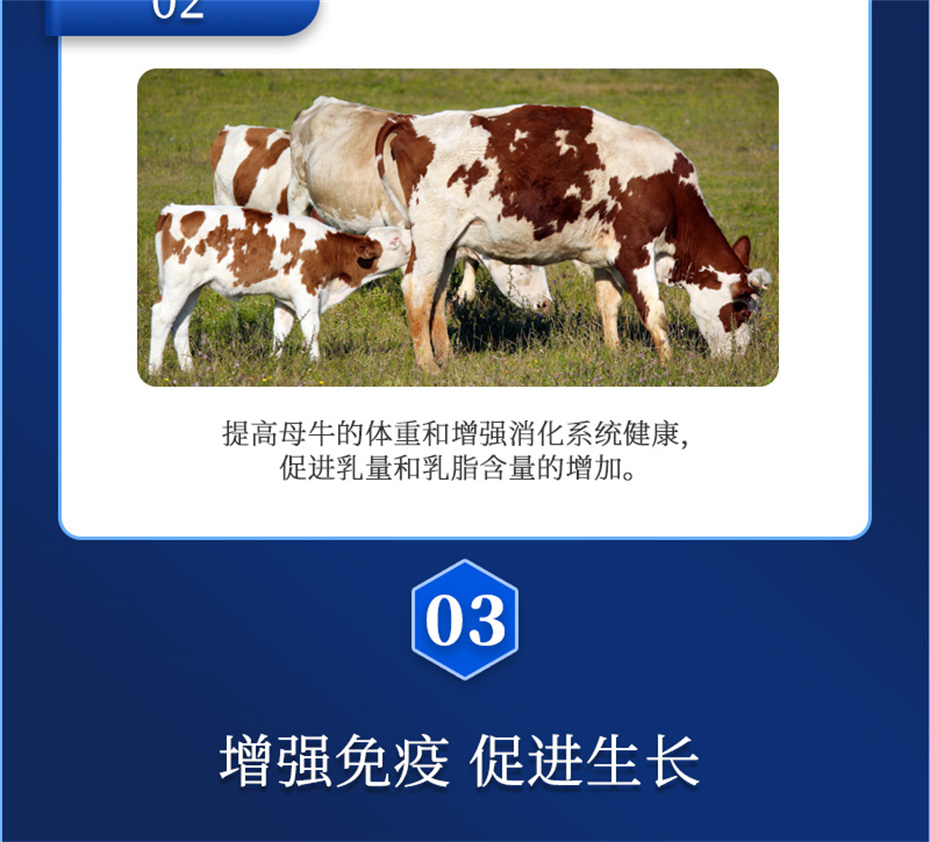 金沙集团动保牛羊饲料添加剂健立血牛羊产品介绍
