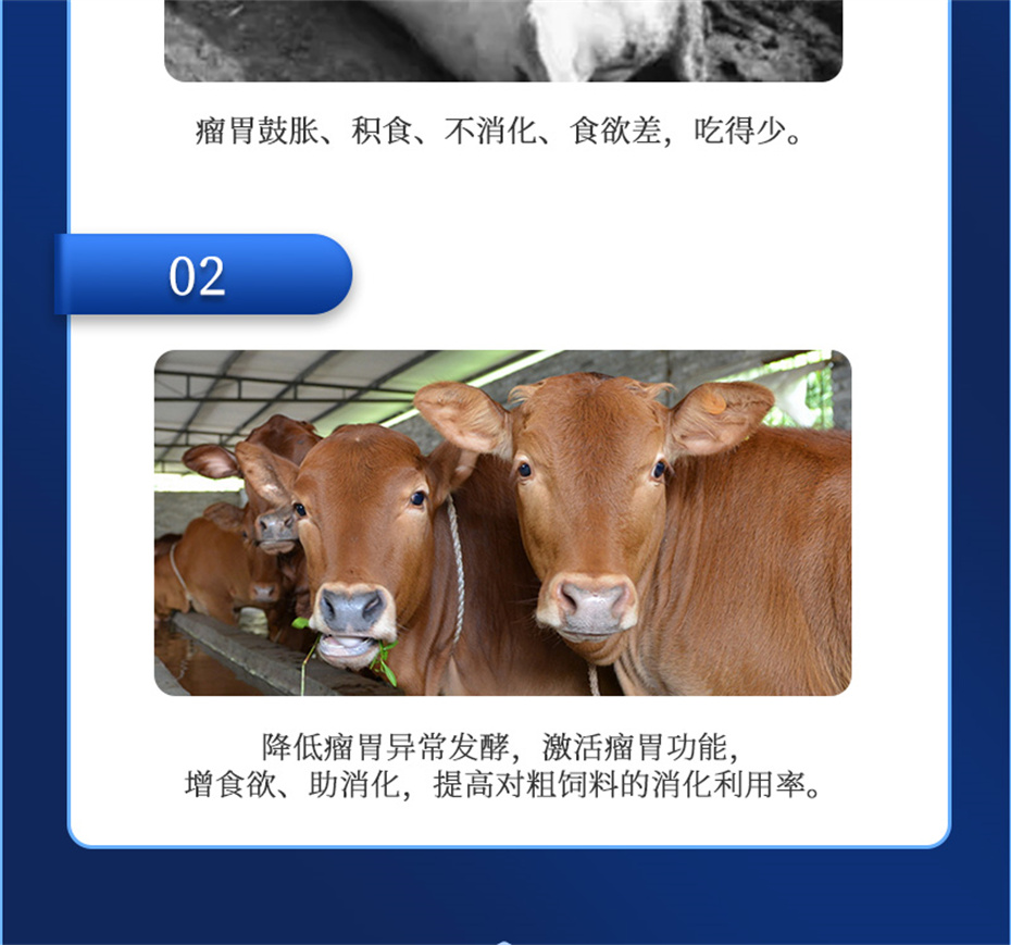金沙集团动保牛羊饲料添加剂瘤胃宝产品介绍