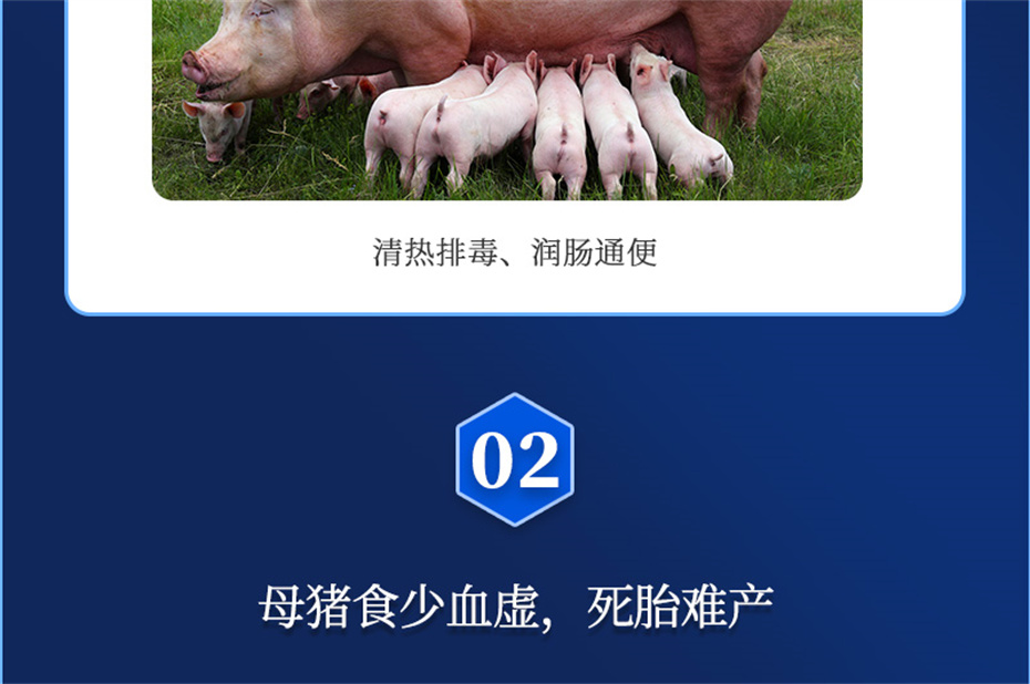 金沙集团动保猪饲料添加剂母润通产品介绍