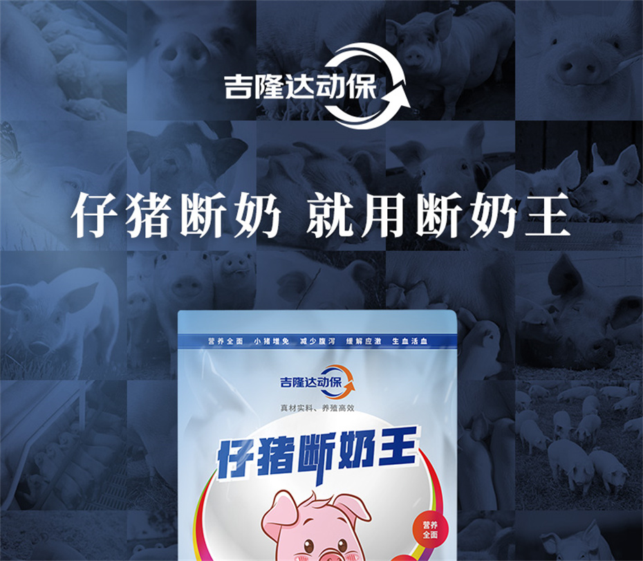金沙集团动保猪饲料添加剂仔猪断奶王产品介绍