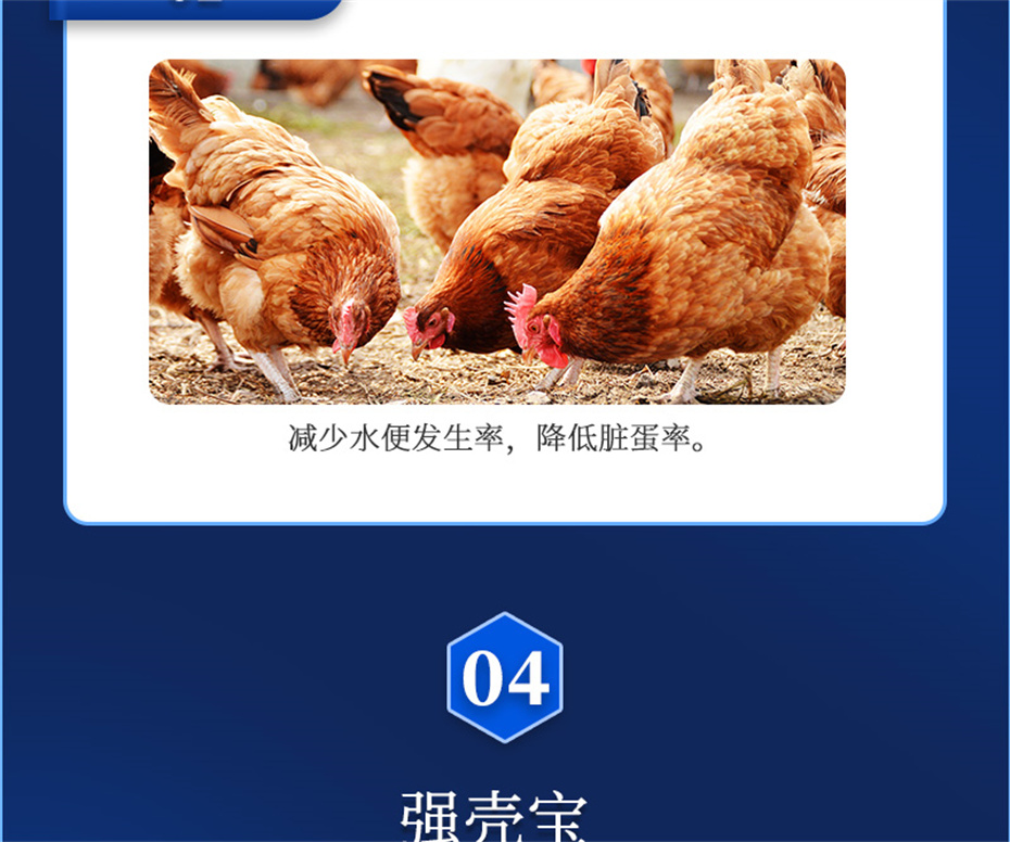 金沙集团动保禽饲料添加剂强壳宝产品介绍