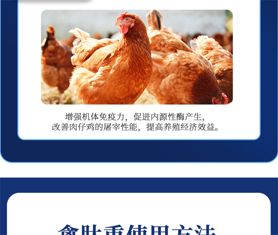金沙集团动保禽饲料添加剂禽肽重产品介绍